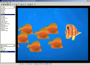 Screenshot of Advanced Image Viewer and Converter 1.6